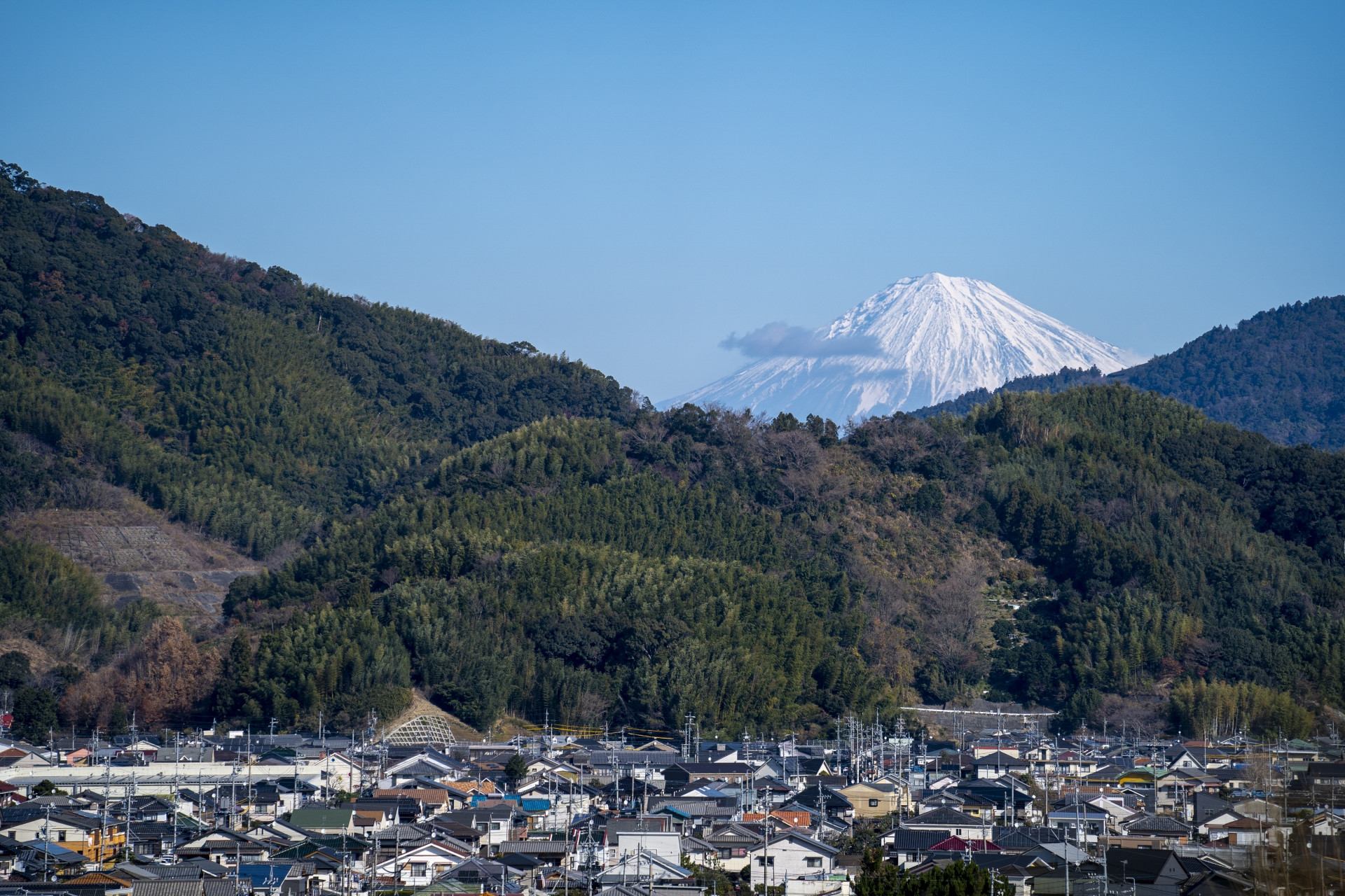 初冠雪